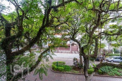 Image 39 - 231726